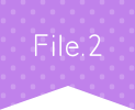 File.2